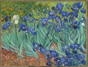 Irises, Vincent van Gogh, 1889, J. Paul Getty Museum, Public Domain