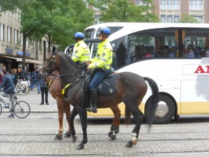Traffic cop horses stop at red lights