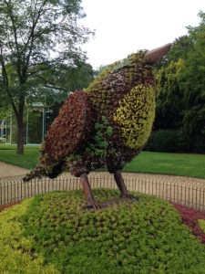BirdWaddesdon