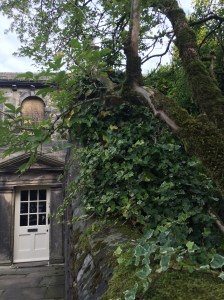 516249D9-D9D6-4C17-9562-2F8427A4F7FA