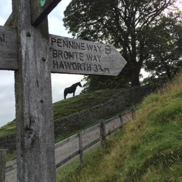 E8ADF0D1-3C59-43B8-A466-D01193D148E5