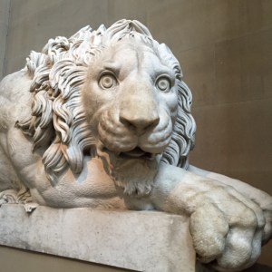 6E00C57C-58E9-40B7-BBBD-934557E53E56