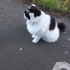 B84912A3-B784-4384-9232-83664DB88EC6