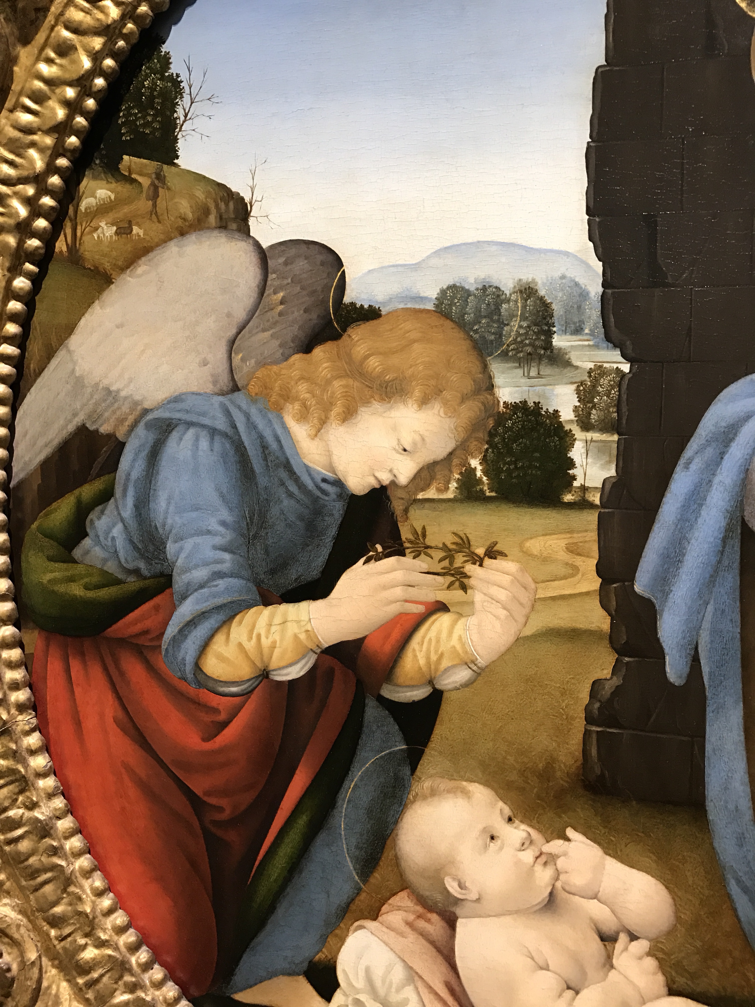 Renaissance Angels of Florence